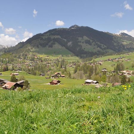 Alpenchalet Spiher Gstaad Ferienwohnung Im Parterre المظهر الخارجي الصورة