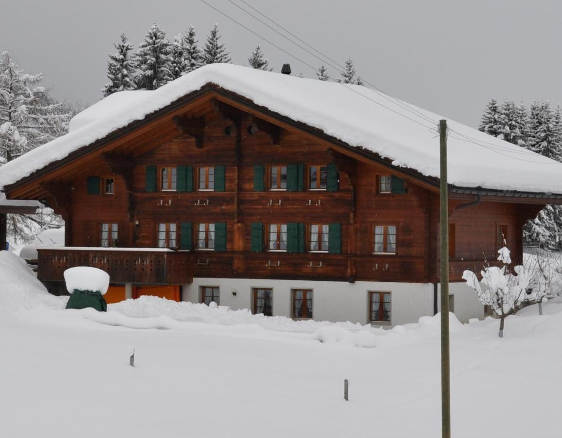 Alpenchalet Spiher Gstaad Ferienwohnung Im Parterre المظهر الخارجي الصورة