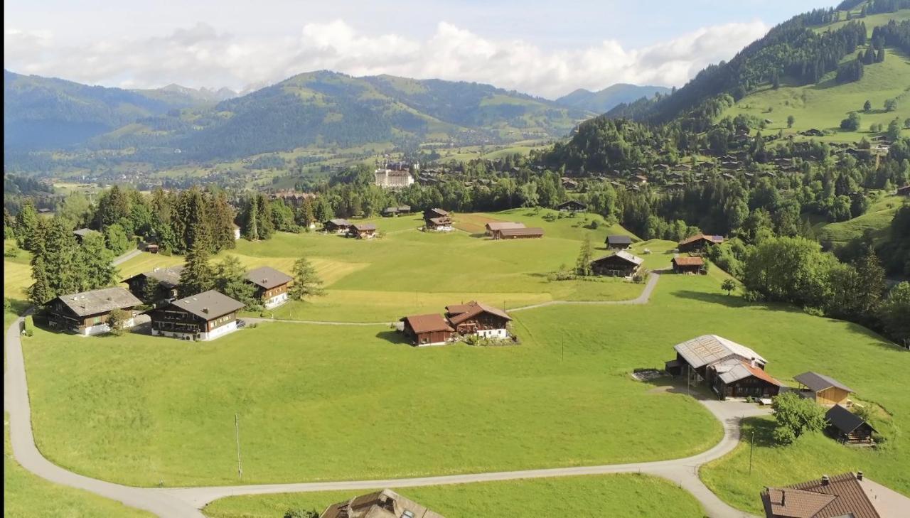 Alpenchalet Spiher Gstaad Ferienwohnung Im Parterre المظهر الخارجي الصورة