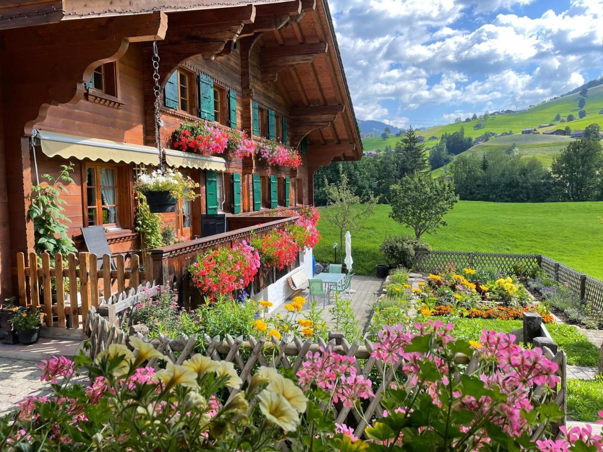 Alpenchalet Spiher Gstaad Ferienwohnung Im Parterre المظهر الخارجي الصورة