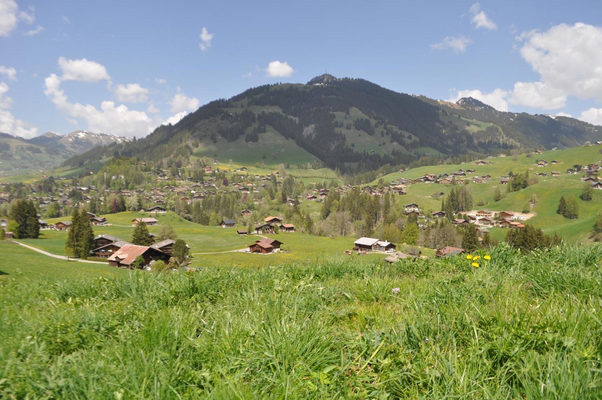 Alpenchalet Spiher Gstaad Ferienwohnung Im Parterre المظهر الخارجي الصورة